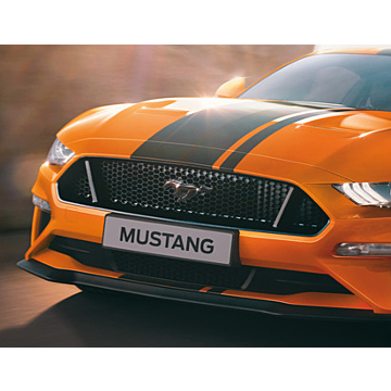 Ford Mustang (03/2015 - 02/2018) zwart pony grille