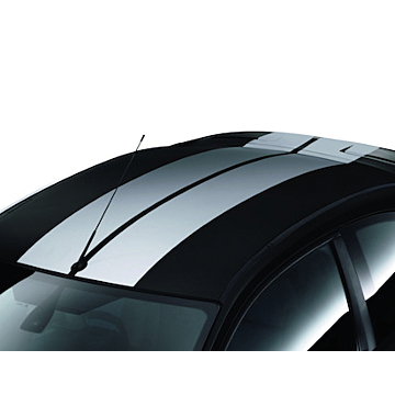 Ford Focus (01/2008 - 12/2010) hatchback GT roof stripe kit zilverkleurig