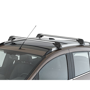 Ford B-MAX (2012 - 2018) dakdragers zilver/zwart