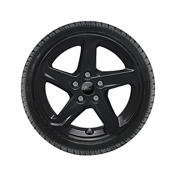 Ford Focus (04/2018 - ..) lichtmetalen velg met winterband 16", 5-spaaksdesign, zwart