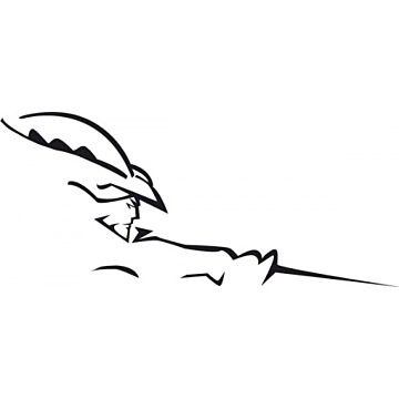 Musketier Peugeot 307 decor sticker