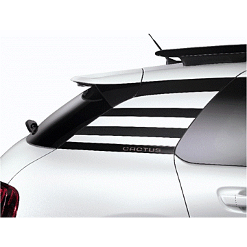 Citroën C4 Cactus stickerset 'Stripe'