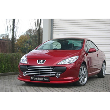 Musketier Peugeot 307 (2005 - 2009) grille chroom