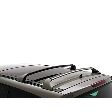 Renault Espace / Grand Espace 2002 - 2015 dakdragers