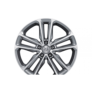 Hyundai Grand Santa Fe (2013 - 2019) winterset 19" aluminium met TPMS