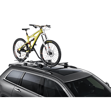 Lancia Thema upright fietsendrager