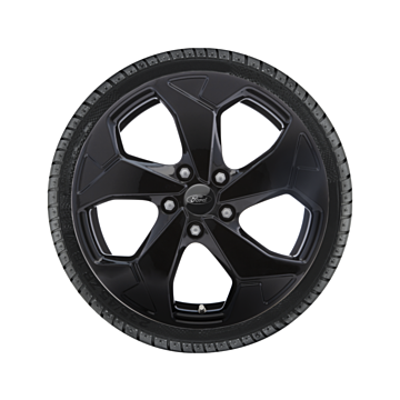Ford Tourneo Connect (02/2022 - ..) / Transit Connect (04/2024 - ..) lichtmetalen velg met winterband 17", 5-spaaksdesign