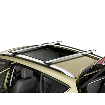 Ford Kuga (11/2012 - 11/2019) dakdragers