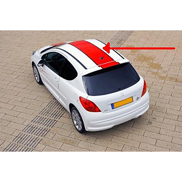Peugeot 207 Le Mans striping dak