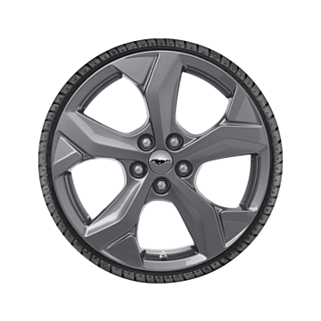 Ford Mustang Mach-E (07/2020 - ..) lichtmetalen velg met winterband 18", 5-spaaksdesign